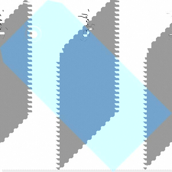 Blank Tag: 6-1/4'' High, Dark Blue, Synthetic Paper